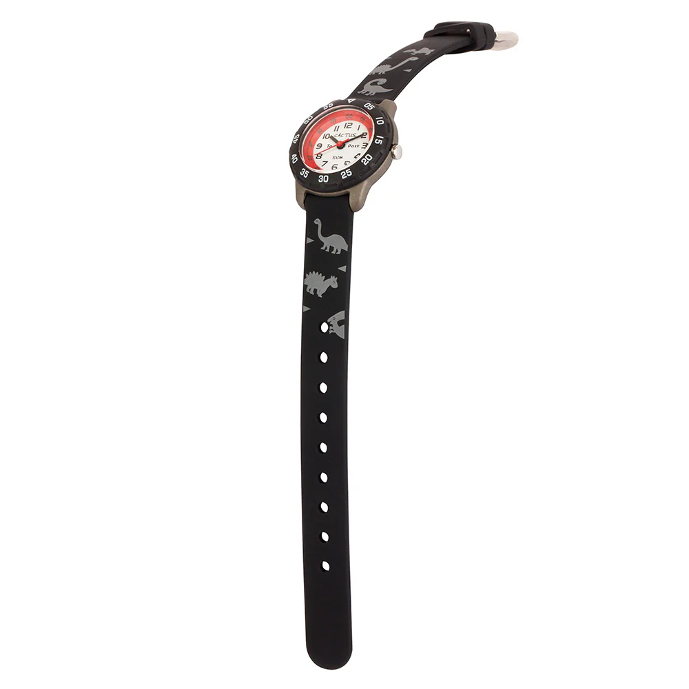 Cactus Time Teacher CAC124M01 Dinosaur - Image 3