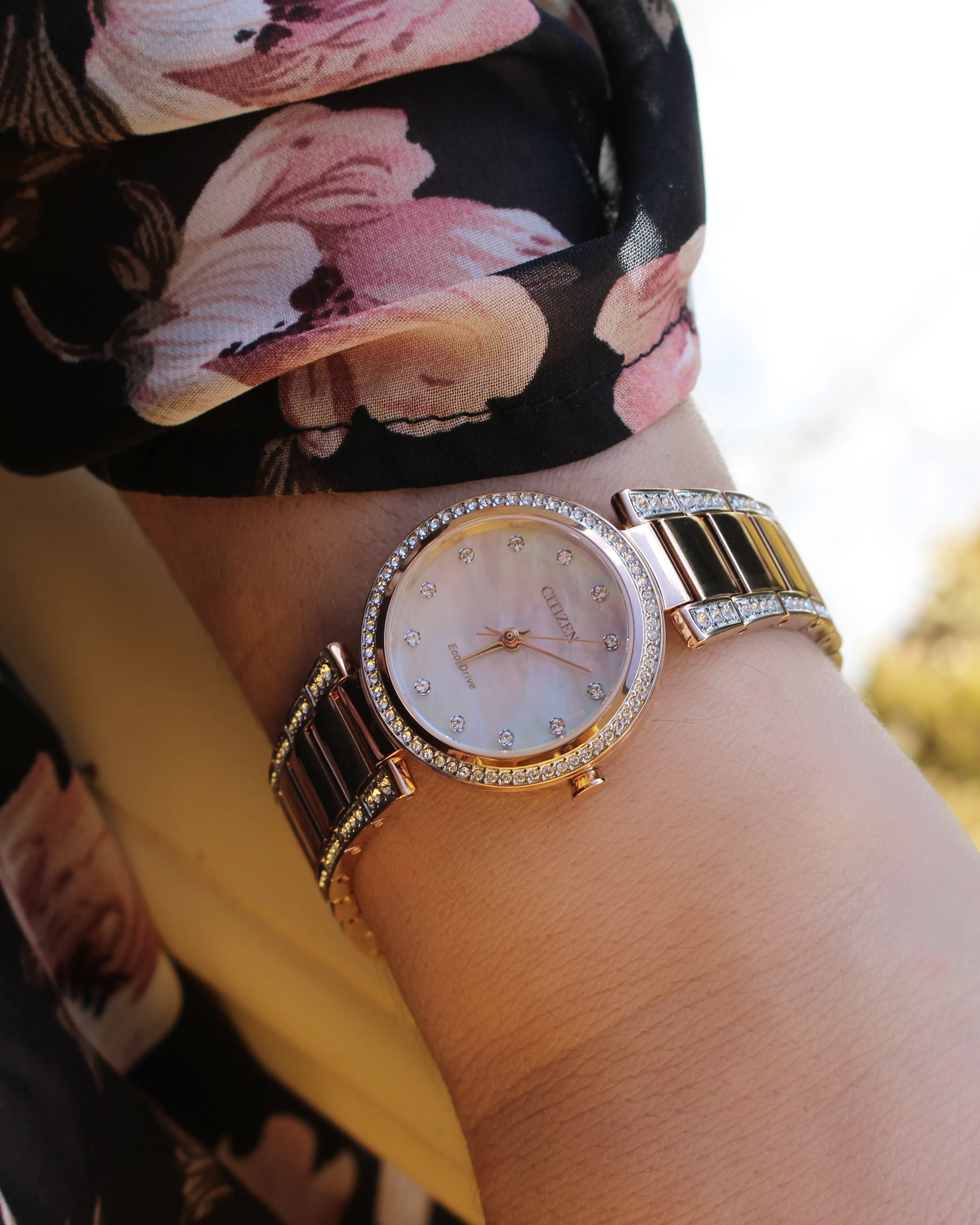 Citizen Eco-Drive EM0843-51D - Image 2