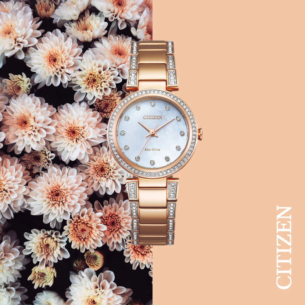 Citizen Eco-Drive EM0843-51D - Image 3