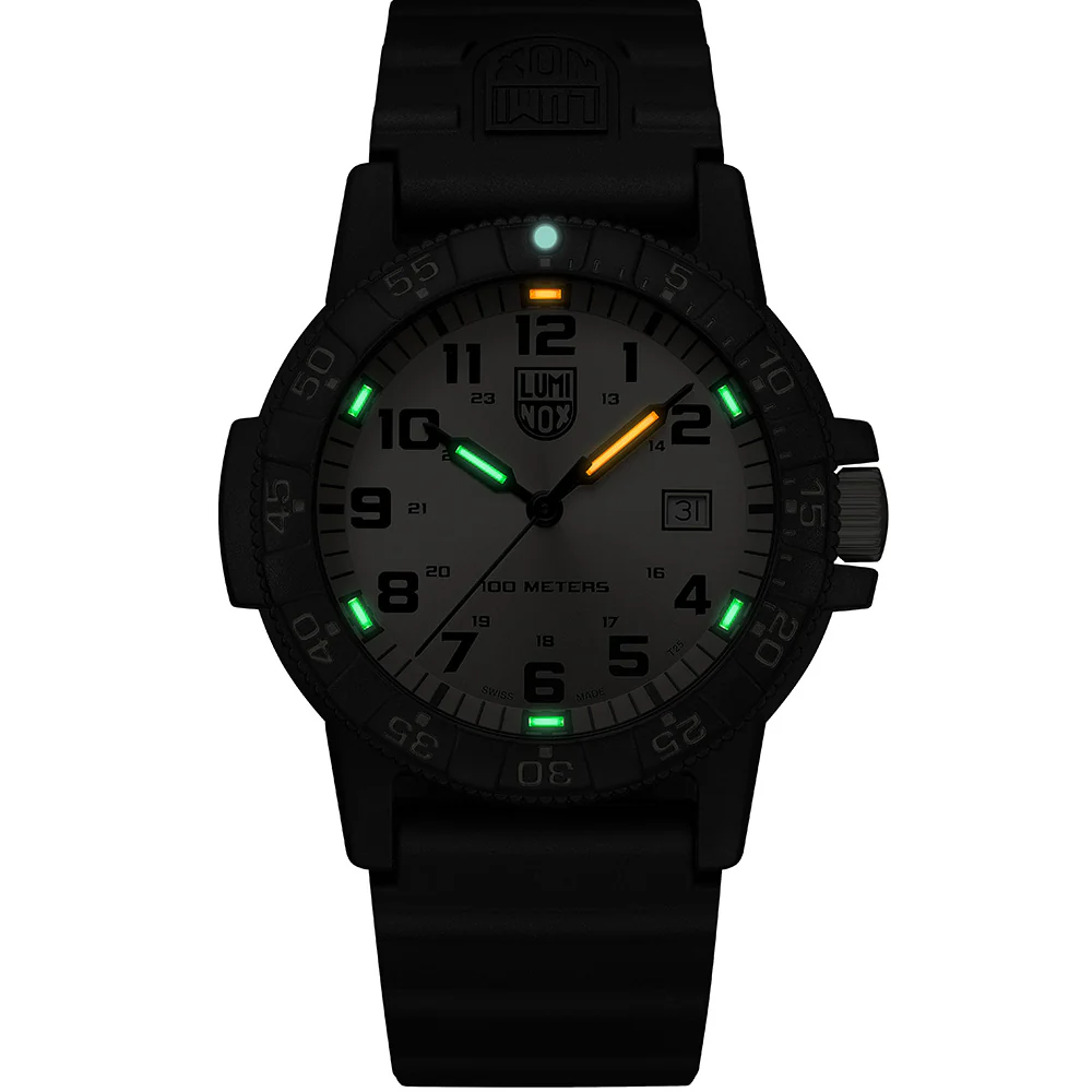 Luminox Sea Turtle Giant XS.0325.GP - Image 6