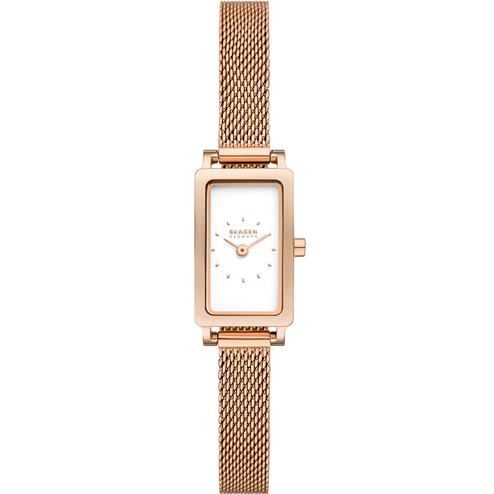 Skagen Hagen Micro SKW3148