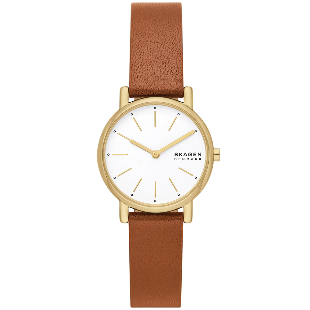 Skagen Signatur Lille SKW3121
