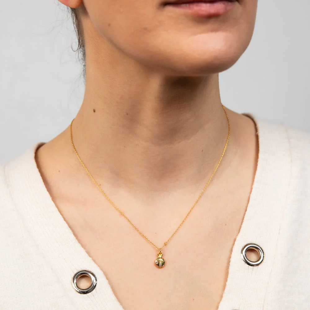 Sterling Silver Gold Plated Lady Bug Multi Color Zirconia Pendant With 45cm Chain - Image 2
